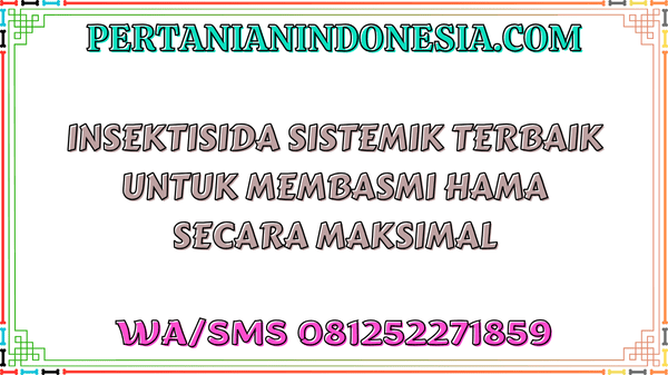 Insektisida Sistemik Terbaik Untuk Membasmi Hama Secara Maksimal